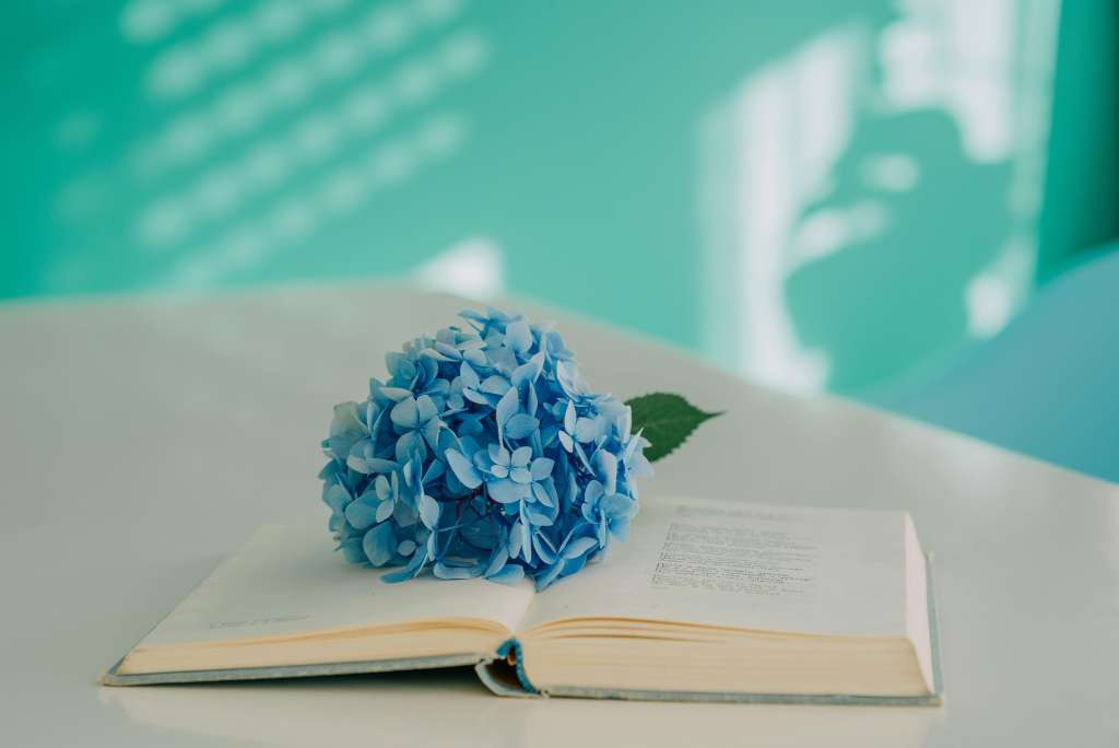 Tisch mit aufgeschlagenem Buch und blauen Blumen darauf liegen, türkiser Hintergrund